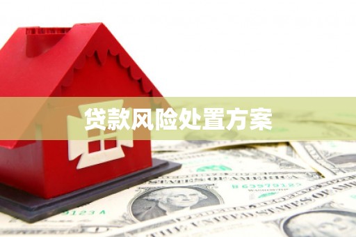 资阳贷款风险处置方案