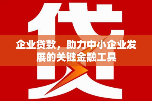 资阳企业贷款，助力中小企业发展的关键金融工具