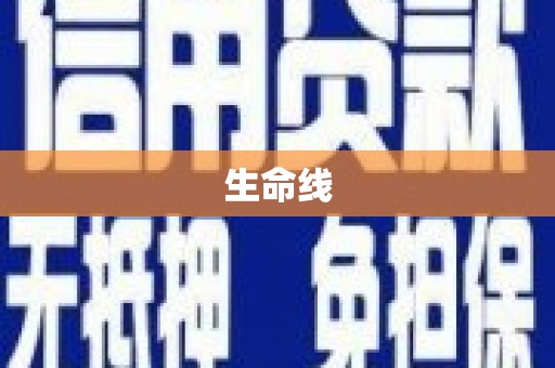 资阳生命线