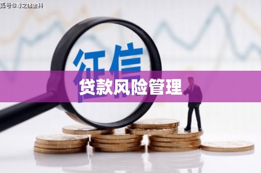 资阳贷款风险管理