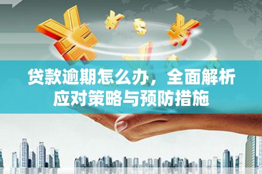 资阳贷款逾期怎么办，全面解析应对策略与预防措施