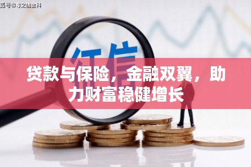 资阳贷款与保险，金融双翼，助力财富稳健增长