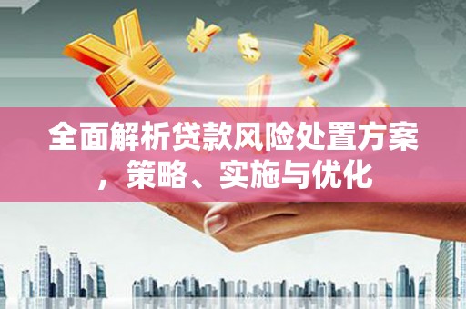 资阳全面解析贷款风险处置方案，策略、实施与优化