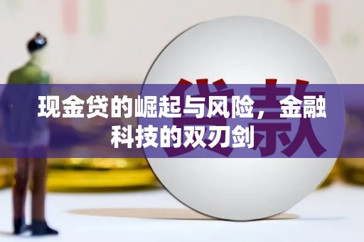 资阳现金贷的崛起与风险，金融科技的双刃剑