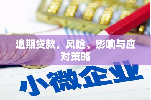 资阳逾期贷款，风险、影响与应对策略