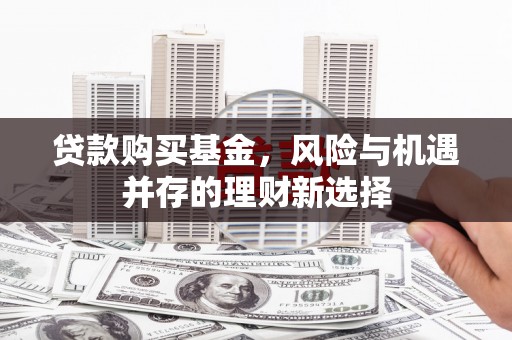 资阳贷款购买基金，风险与机遇并存的理财新选择