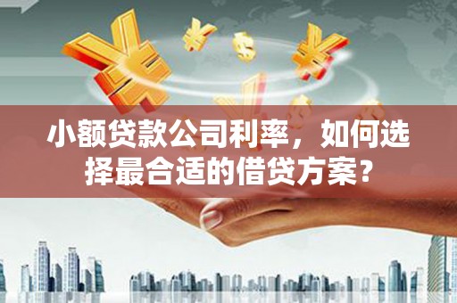 资阳小额贷款公司利率，如何选择最合适的借贷方案？