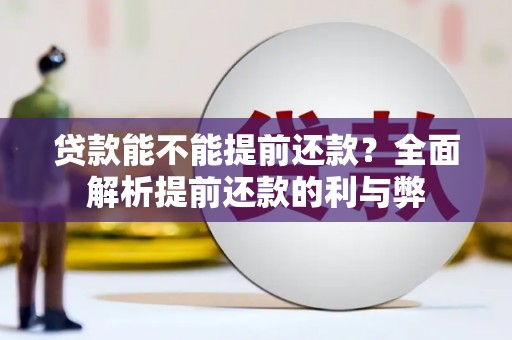 资阳贷款能不能提前还款？全面解析提前还款的利与弊