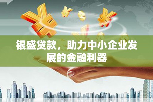 资阳银盛贷款，助力中小企业发展的金融利器