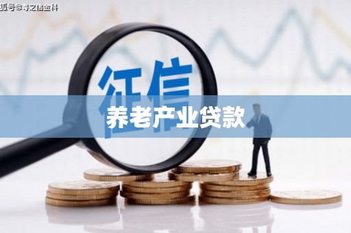 资阳养老产业贷款