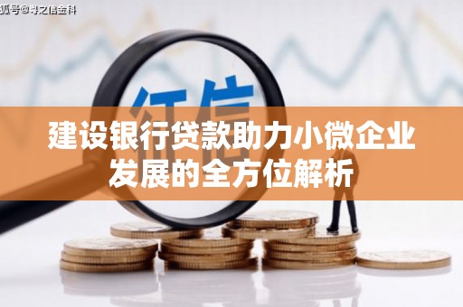 资阳建设银行贷款助力小微企业发展的全方位解析