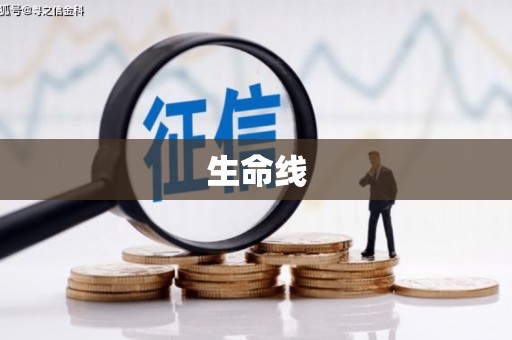 资阳生命线