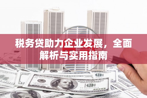 资阳税务贷助力企业发展，全面解析与实用指南