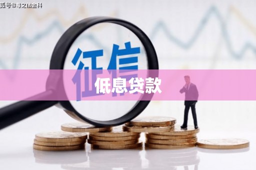 资阳低息贷款