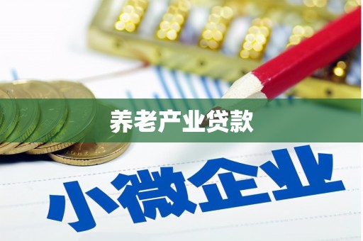资阳养老产业贷款