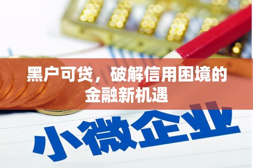 资阳黑户可贷，破解信用困境的金融新机遇