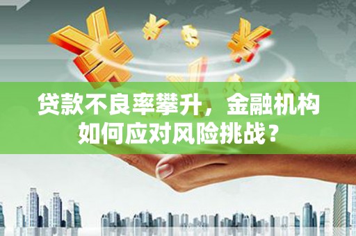资阳贷款不良率攀升，金融机构如何应对风险挑战？
