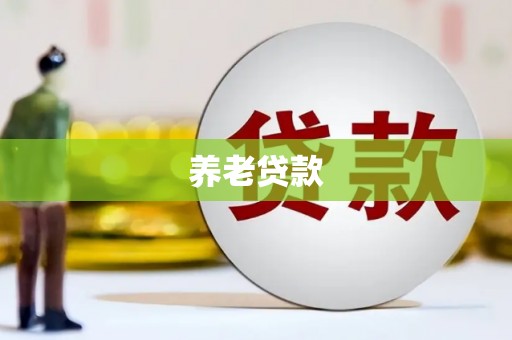资阳养老贷款