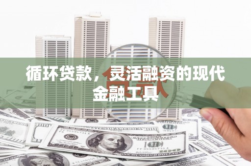 资阳循环贷款，灵活融资的现代金融工具