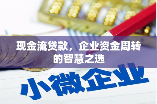 资阳现金流贷款，企业资金周转的智慧之选