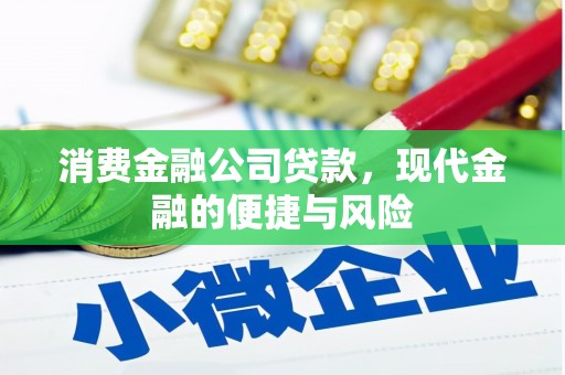 资阳消费金融公司贷款，现代金融的便捷与风险