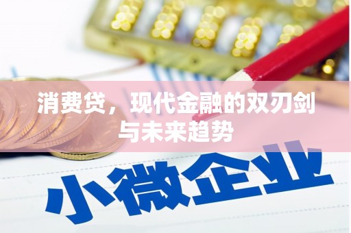 资阳消费贷，现代金融的双刃剑与未来趋势